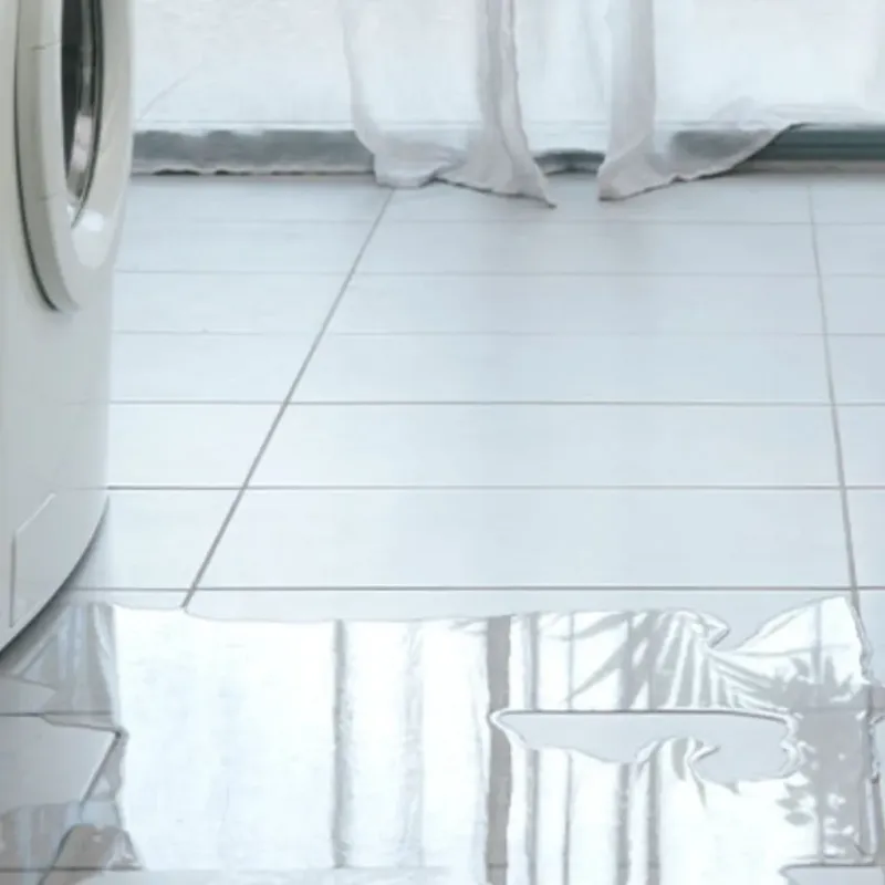 Appliance Leak Cleanup in Fords Prairie, WA