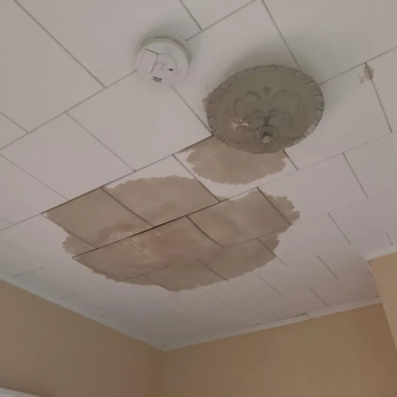 Ceiling Water Damage Repair in Fords Prairie, WA