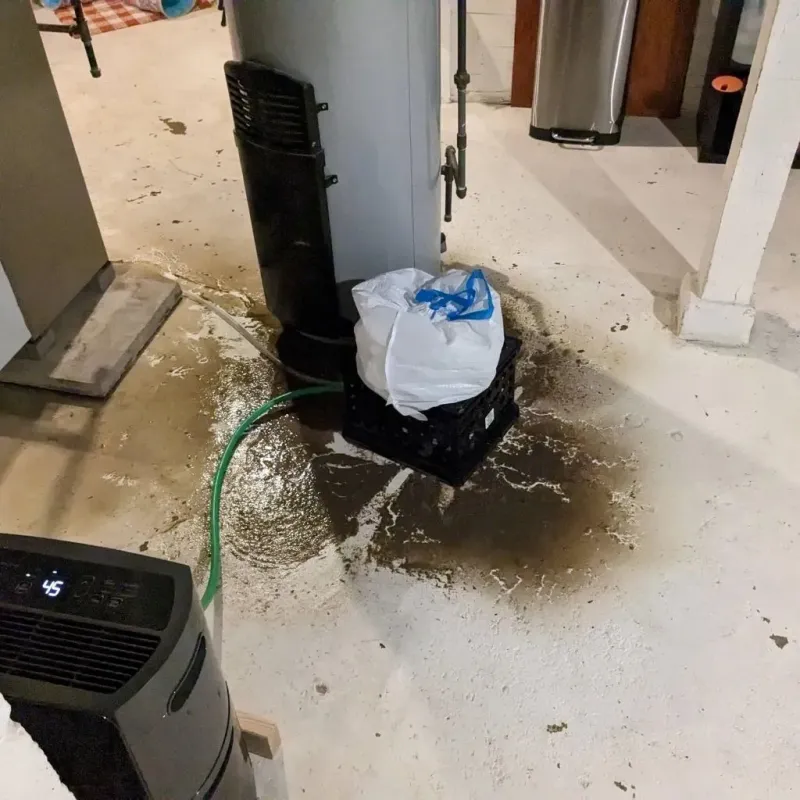 Sewage Backup Cleanup Service in Fords Prairie, WA